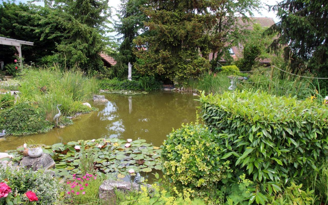 Zimmer Paradiso Busingen am Hochrhein Exteriér fotografie