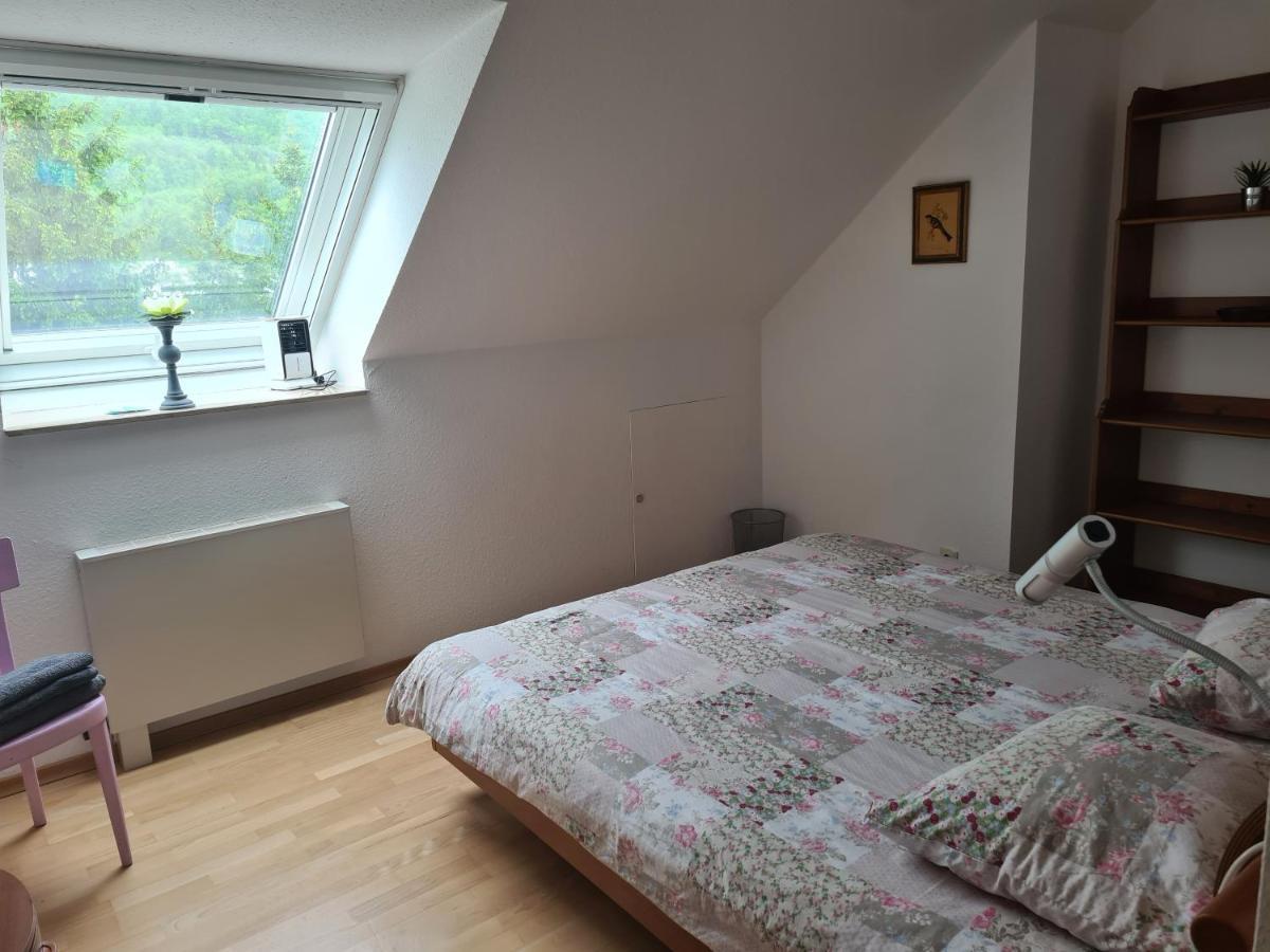 Zimmer Paradiso Busingen am Hochrhein Exteriér fotografie